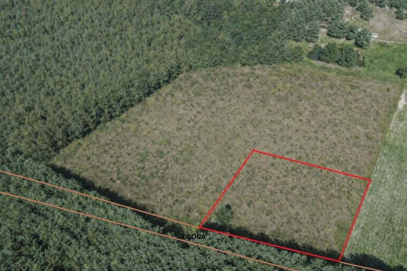 Działka Sprzedaż - świętokrzyskie, staszowski, Bogoria, Bogoria-Kolonia