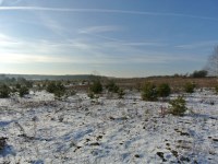 Działka Sprzedaż - świętokrzyskie, kielecki, Morawica, Wola Morawicka