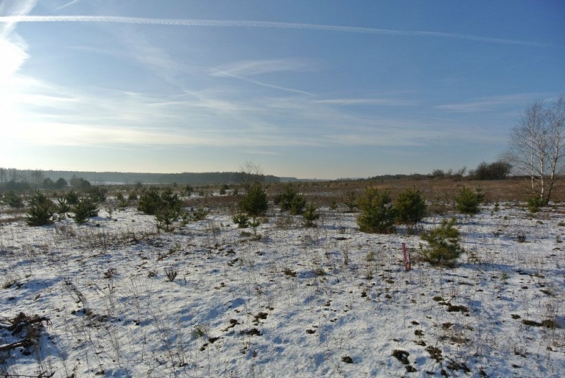 Działka Sprzedaż - świętokrzyskie, kielecki, Morawica, Wola Morawicka