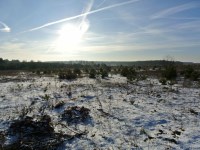 Działka Sprzedaż - świętokrzyskie, kielecki, Morawica, Wola Morawicka