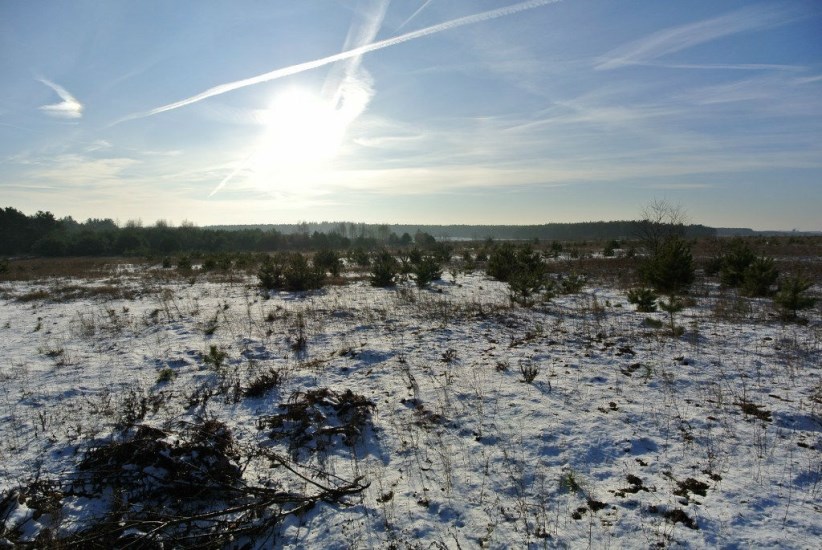 Działka Sprzedaż - świętokrzyskie, kielecki, Morawica, Wola Morawicka