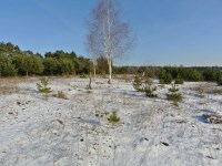 Działka Sprzedaż - świętokrzyskie, kielecki, Morawica, Wola Morawicka