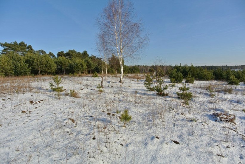 Działka Sprzedaż - świętokrzyskie, kielecki, Morawica, Wola Morawicka