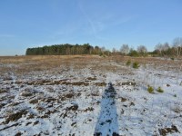 Działka Sprzedaż - świętokrzyskie, kielecki, Morawica, Wola Morawicka