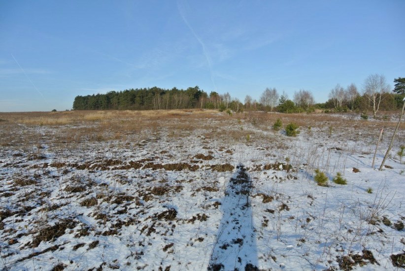 Działka Sprzedaż - świętokrzyskie, kielecki, Morawica, Wola Morawicka