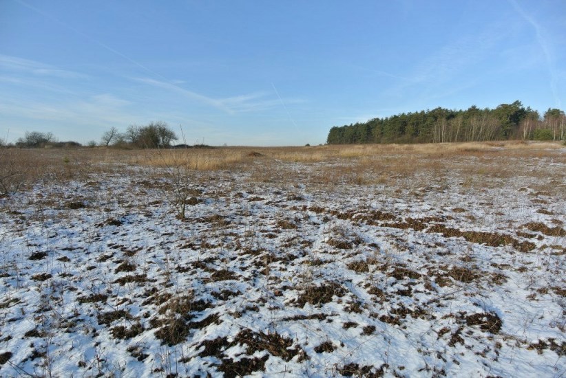 Działka Sprzedaż - świętokrzyskie, kielecki, Morawica, Wola Morawicka