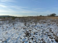 Działka Sprzedaż - świętokrzyskie, kielecki, Morawica, Wola Morawicka