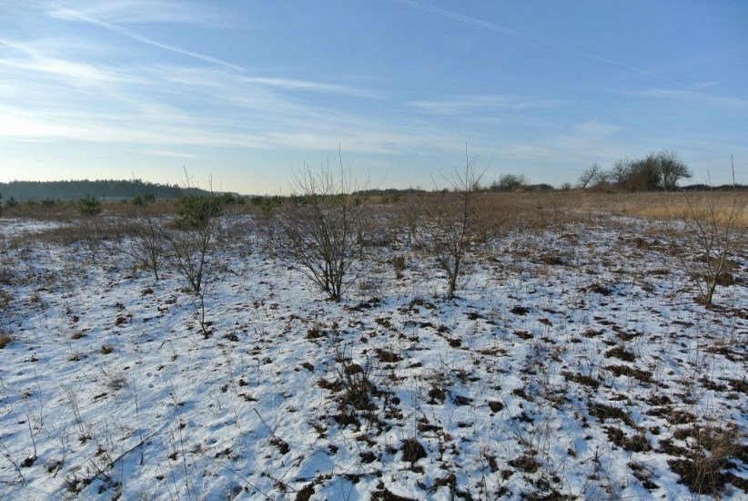 Działka Sprzedaż - świętokrzyskie, kielecki, Morawica, Wola Morawicka