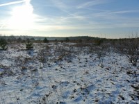 Działka Sprzedaż - świętokrzyskie, kielecki, Morawica, Wola Morawicka