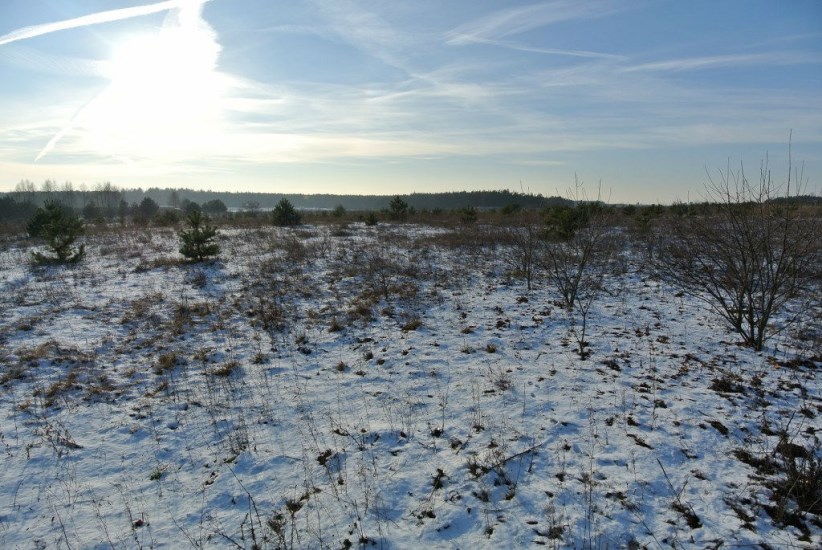 Działka Sprzedaż - świętokrzyskie, kielecki, Morawica, Wola Morawicka