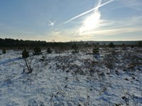 Działka Sprzedaż - świętokrzyskie, kielecki, Morawica, Wola Morawicka