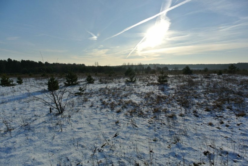 Działka Sprzedaż - świętokrzyskie, kielecki, Morawica, Wola Morawicka