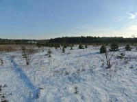 Działka Sprzedaż - świętokrzyskie, kielecki, Morawica, Wola Morawicka