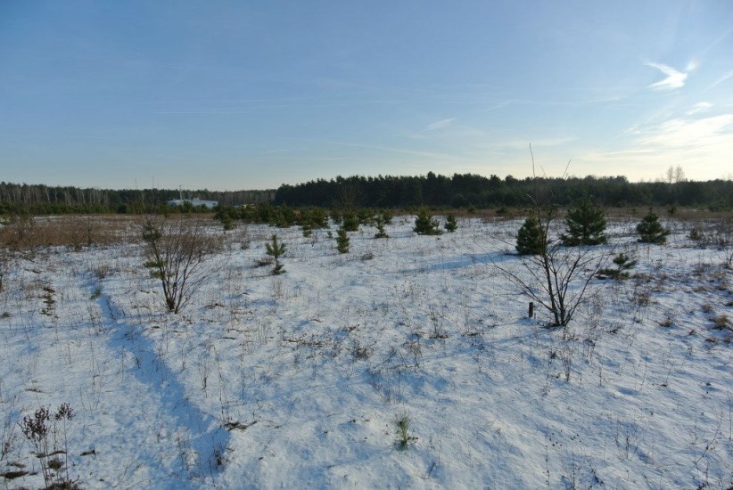 Działka Sprzedaż - świętokrzyskie, kielecki, Morawica, Wola Morawicka