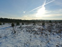 Działka Sprzedaż - świętokrzyskie, kielecki, Morawica, Wola Morawicka