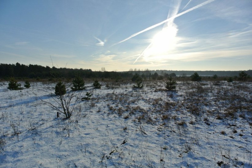 Działka Sprzedaż - świętokrzyskie, kielecki, Morawica, Wola Morawicka