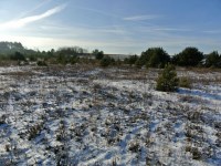 Działka Sprzedaż - świętokrzyskie, kielecki, Morawica, Wola Morawicka