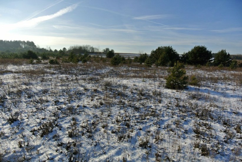 Działka Sprzedaż - świętokrzyskie, kielecki, Morawica, Wola Morawicka