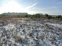 Działka Sprzedaż - świętokrzyskie, kielecki, Morawica, Wola Morawicka