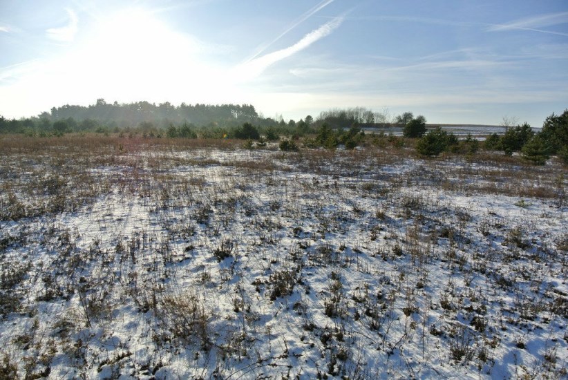 Działka Sprzedaż - świętokrzyskie, kielecki, Morawica, Wola Morawicka
