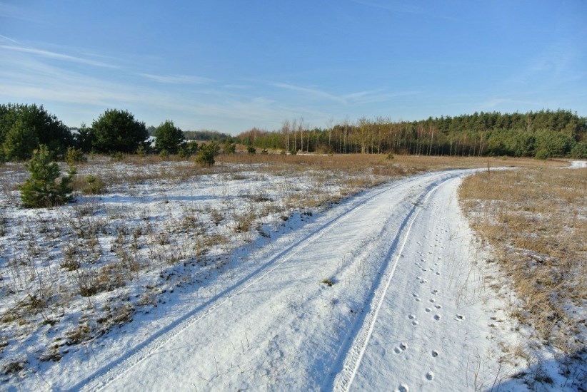 Działka Sprzedaż - świętokrzyskie, kielecki, Morawica, Wola Morawicka
