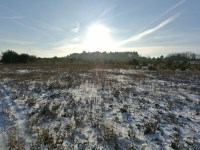 Działka Sprzedaż - świętokrzyskie, kielecki, Morawica, Wola Morawicka