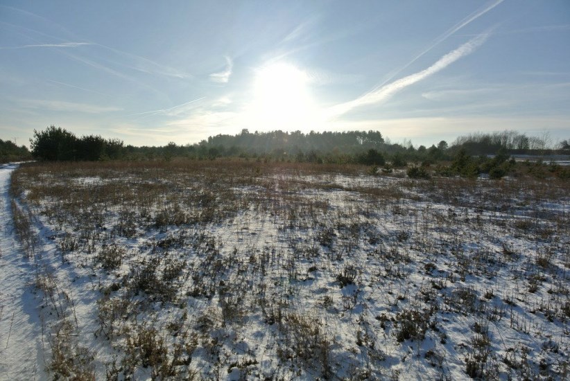 Działka Sprzedaż - świętokrzyskie, kielecki, Morawica, Wola Morawicka