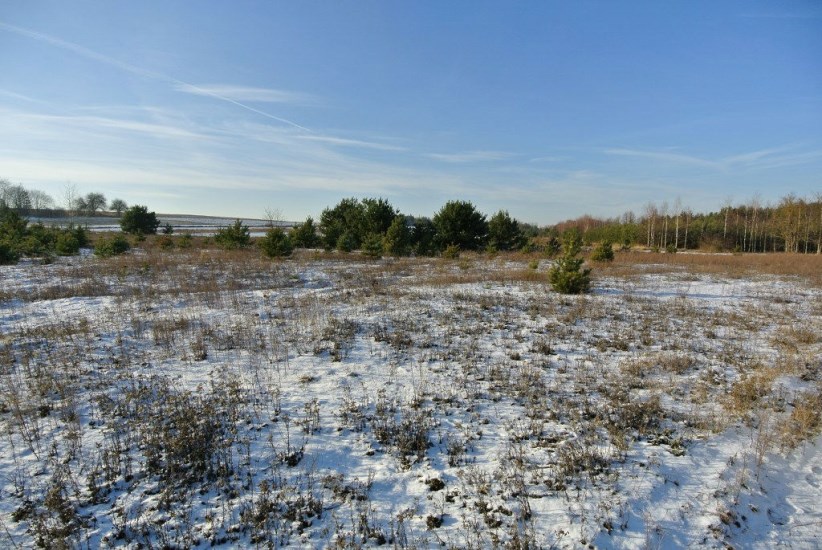 Działka Sprzedaż - świętokrzyskie, kielecki, Morawica, Wola Morawicka