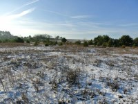 Działka Sprzedaż - świętokrzyskie, kielecki, Morawica, Wola Morawicka