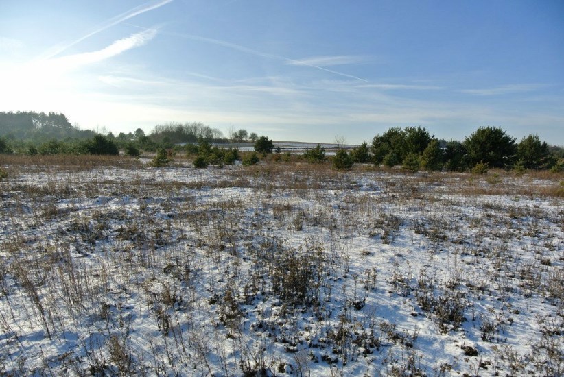 Działka Sprzedaż - świętokrzyskie, kielecki, Morawica, Wola Morawicka