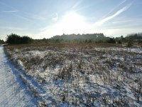 Działka Sprzedaż - świętokrzyskie, kielecki, Morawica, Wola Morawicka