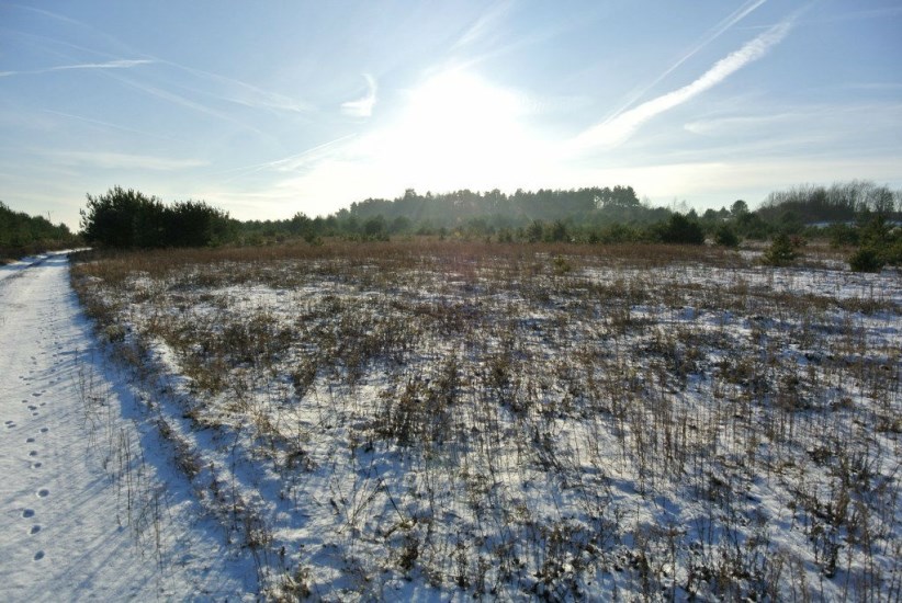 Działka Sprzedaż - świętokrzyskie, kielecki, Morawica, Wola Morawicka