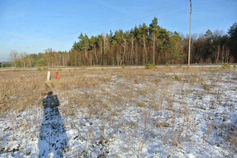 Działka Sprzedaż - świętokrzyskie, kielecki, Morawica, Wola Morawicka