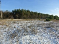 Działka Sprzedaż - świętokrzyskie, kielecki, Morawica, Wola Morawicka