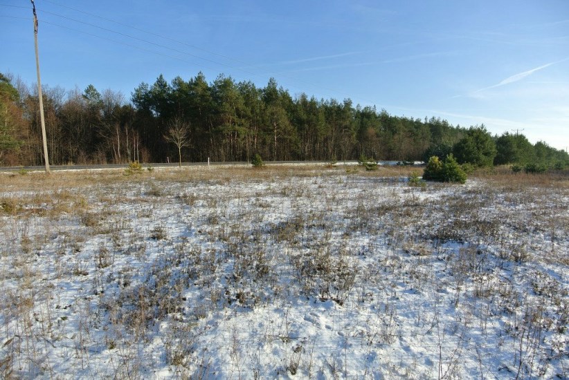 Działka Sprzedaż - świętokrzyskie, kielecki, Morawica, Wola Morawicka