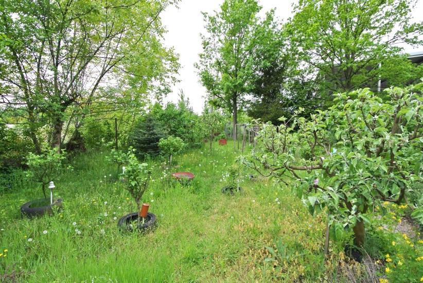 Mieszkanie Sprzedaż - świętokrzyskie, pińczowski, Pińczów