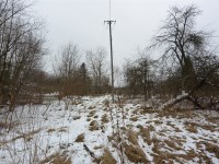 Działka Sprzedaż - świętokrzyskie, jędrzejowski, Oksa, Węgleszyn