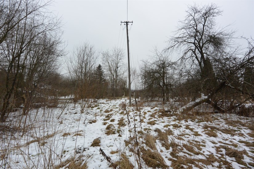 Działka Sprzedaż - świętokrzyskie, jędrzejowski, Oksa, Węgleszyn