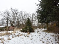 Działka Sprzedaż - świętokrzyskie, jędrzejowski, Oksa, Węgleszyn