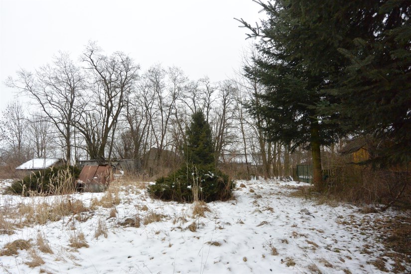 Działka Sprzedaż - świętokrzyskie, jędrzejowski, Oksa, Węgleszyn