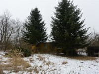 Działka Sprzedaż - świętokrzyskie, jędrzejowski, Oksa, Węgleszyn