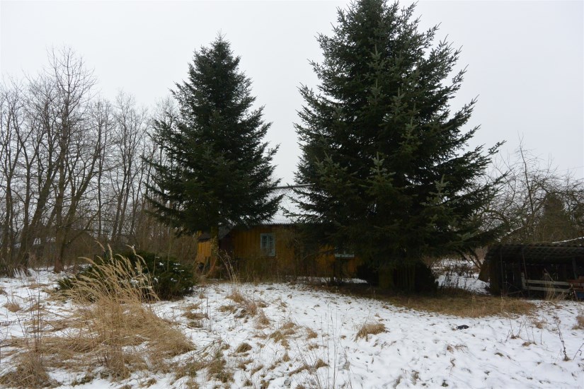 Działka Sprzedaż - świętokrzyskie, jędrzejowski, Oksa, Węgleszyn