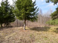 Działka Sprzedaż - świętokrzyskie, Kielce m., Kielce, Niewachlów Drugi