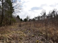 Działka Sprzedaż - świętokrzyskie, Kielce m., Kielce, Niewachlów Drugi