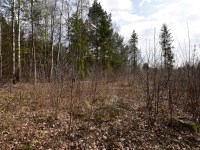 Działka Sprzedaż - świętokrzyskie, Kielce m., Kielce, Niewachlów Drugi