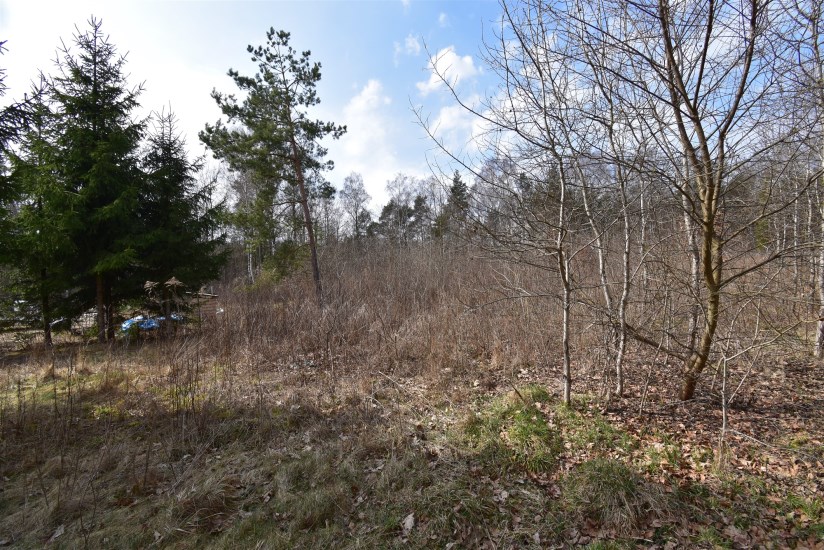 Działka Sprzedaż - świętokrzyskie, Kielce m., Kielce, Niewachlów Drugi