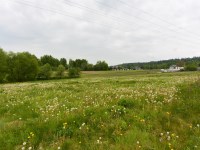 Działka Sprzedaż - świętokrzyskie, kielecki, Daleszyce, Cisów