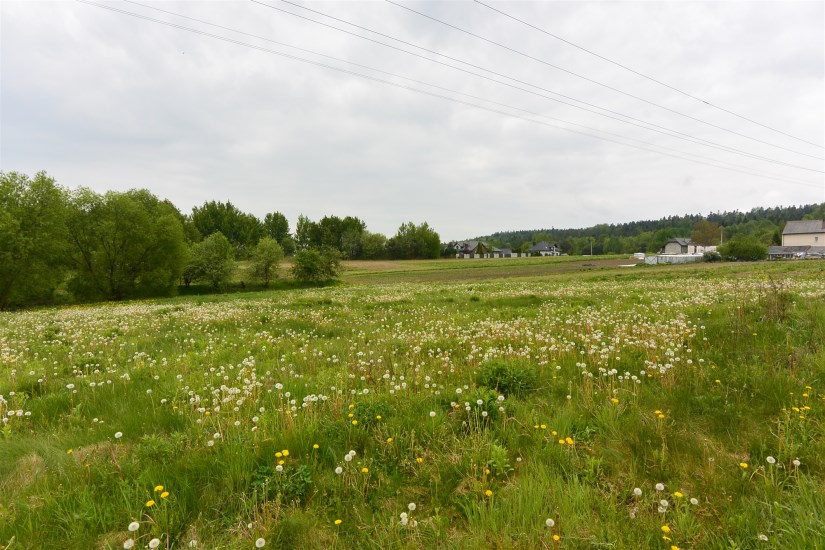 Działka Sprzedaż - świętokrzyskie, kielecki, Daleszyce, Cisów