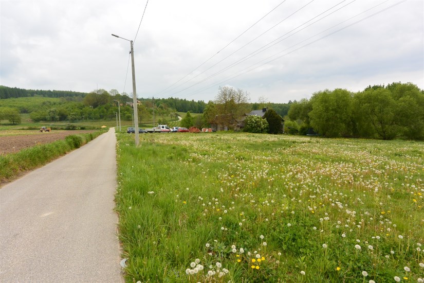 Działka Sprzedaż - świętokrzyskie, kielecki, Daleszyce, Cisów