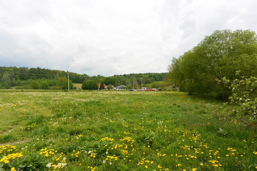 Działka Sprzedaż - świętokrzyskie, kielecki, Daleszyce, Cisów